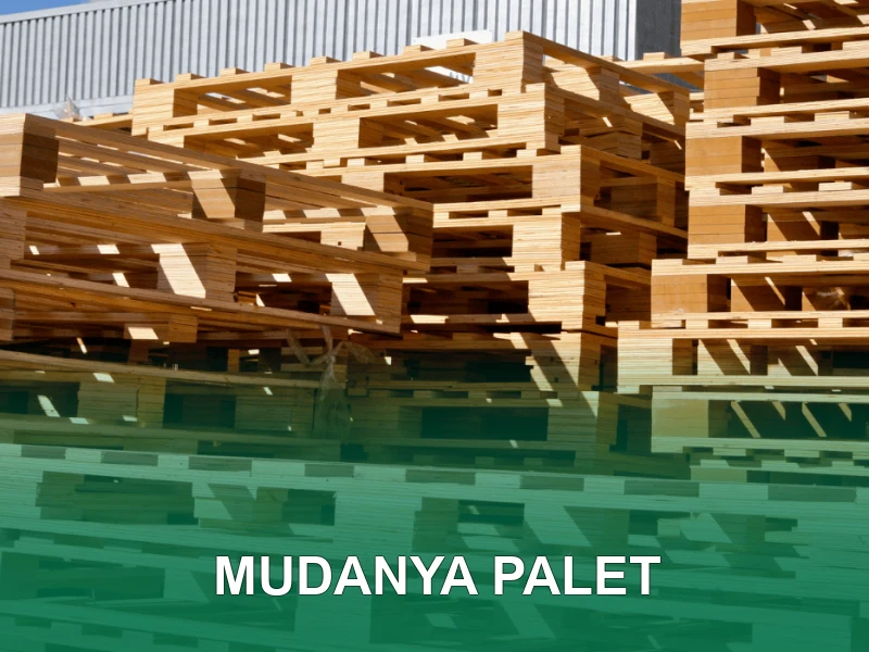 Mudanya Palet Galeri 1