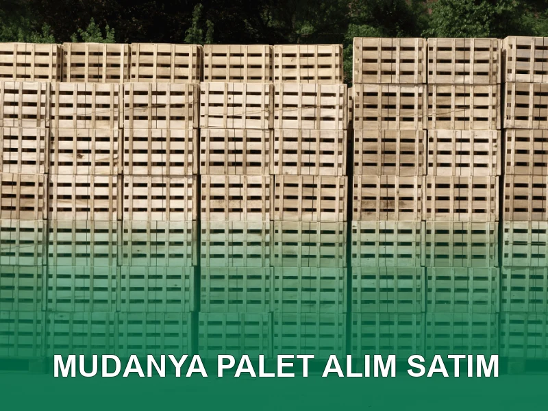Mudanya Palet Galeri 3