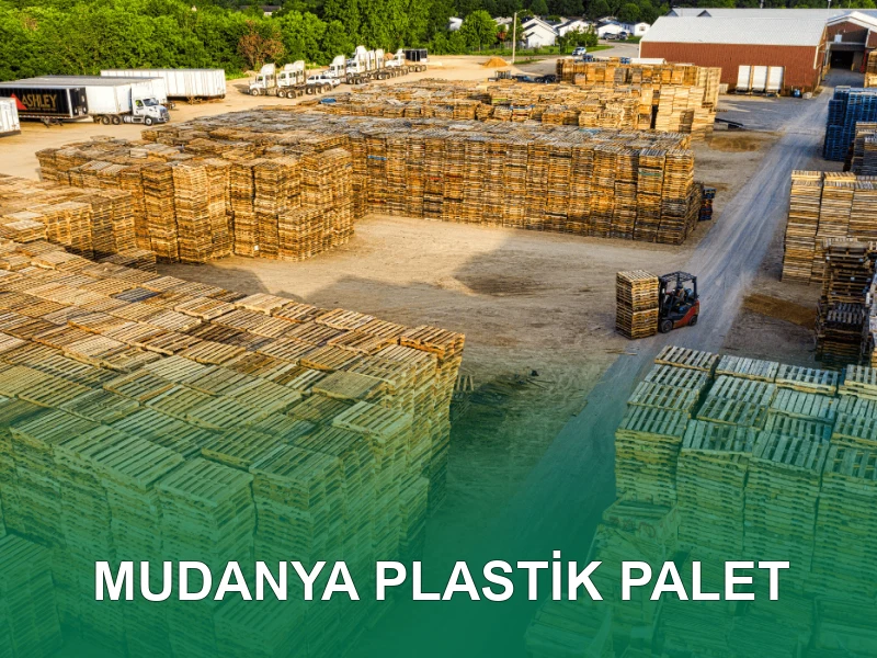 Mudanya Palet Galeri 6